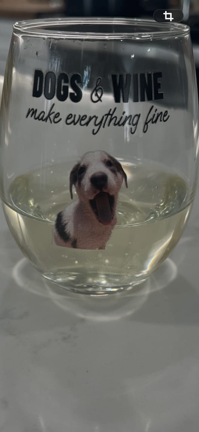 Customer photo review of Pets & wine make me fine -  Personalized Wine Glass