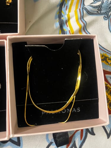 Customer photo review of Plain Chain Two Layer Necklace
