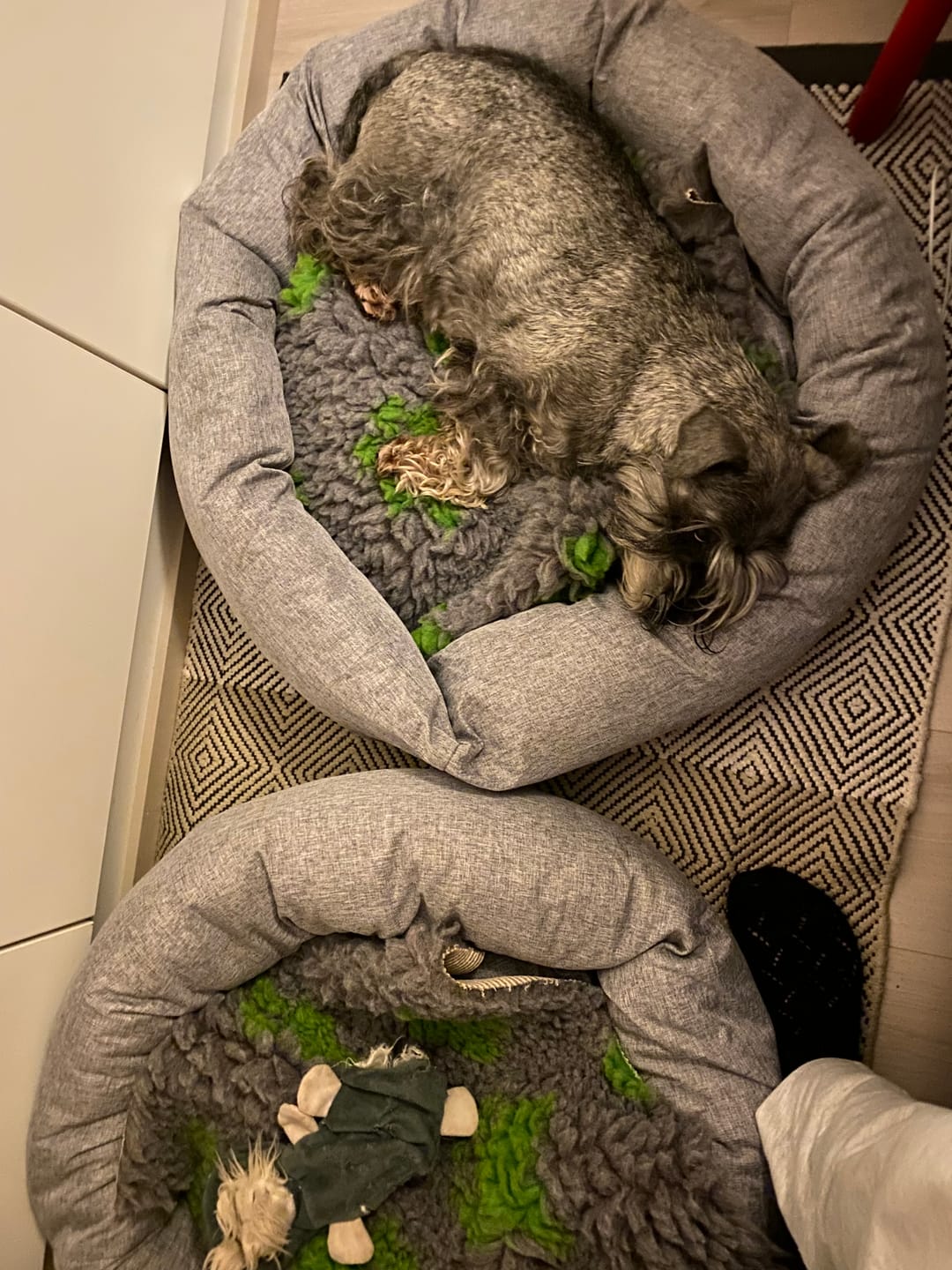 Customer photo review of CalmBed – Ehkäisee stressiä ja lievittää ahdistusta