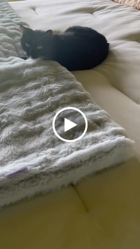 Customer video review of Shipping Protection
