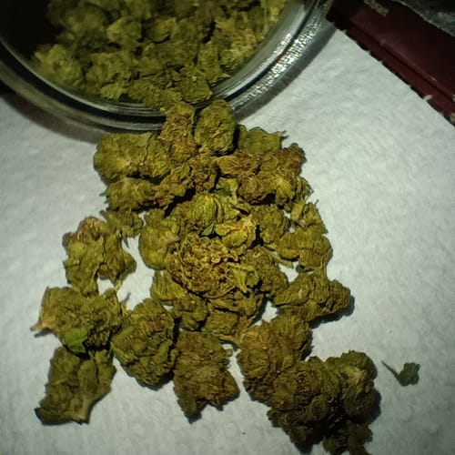 Customer photo review of Chem Dawg - Minis - 28 Grams - Hybrid