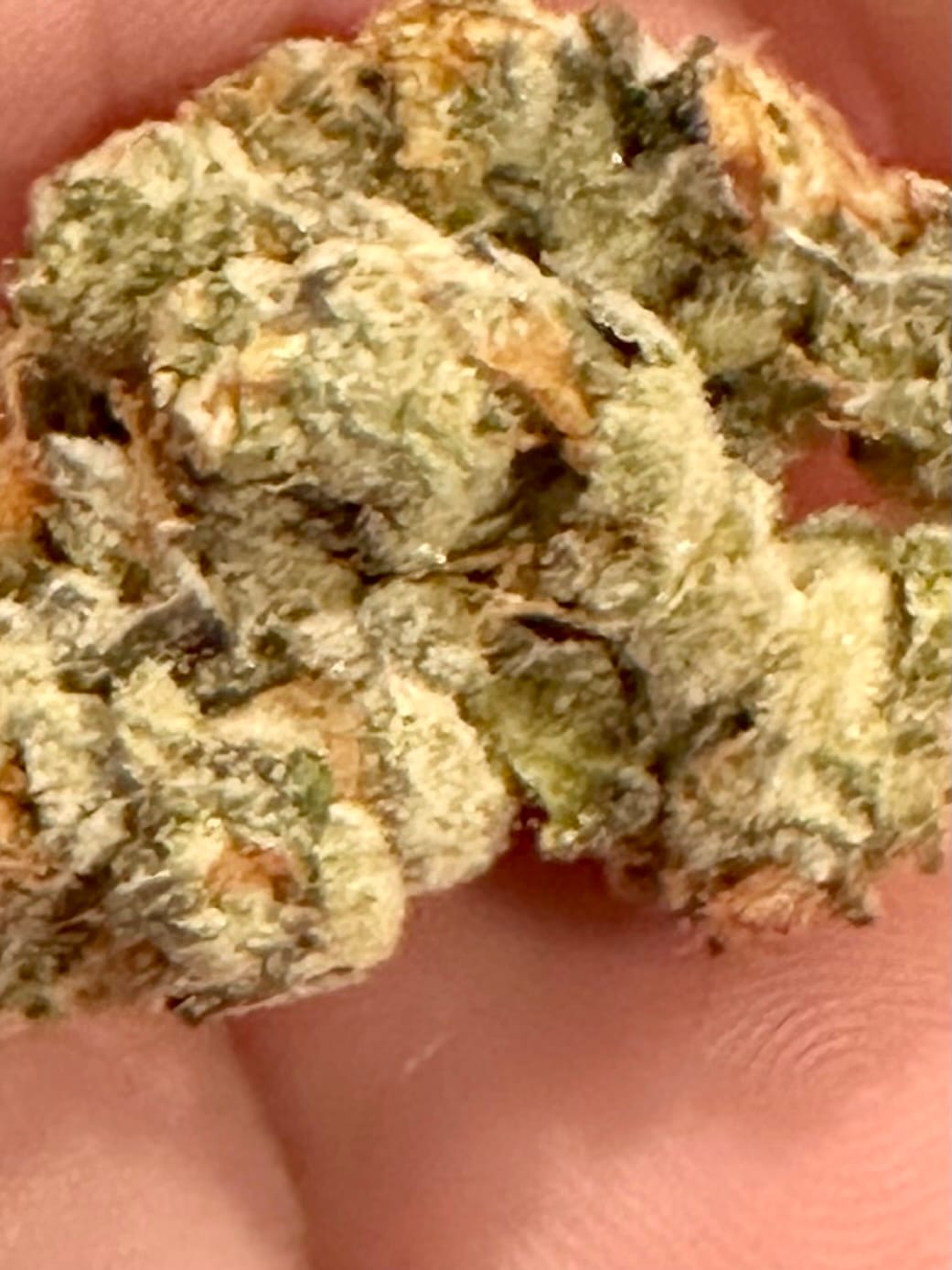 Customer photo review of Gummies - Minis - 28 Grams - Hybrid