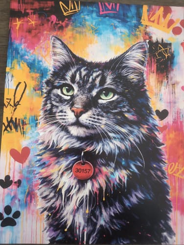 Customer photo review of Personalised Poster With Dog or Cat - Graffiti