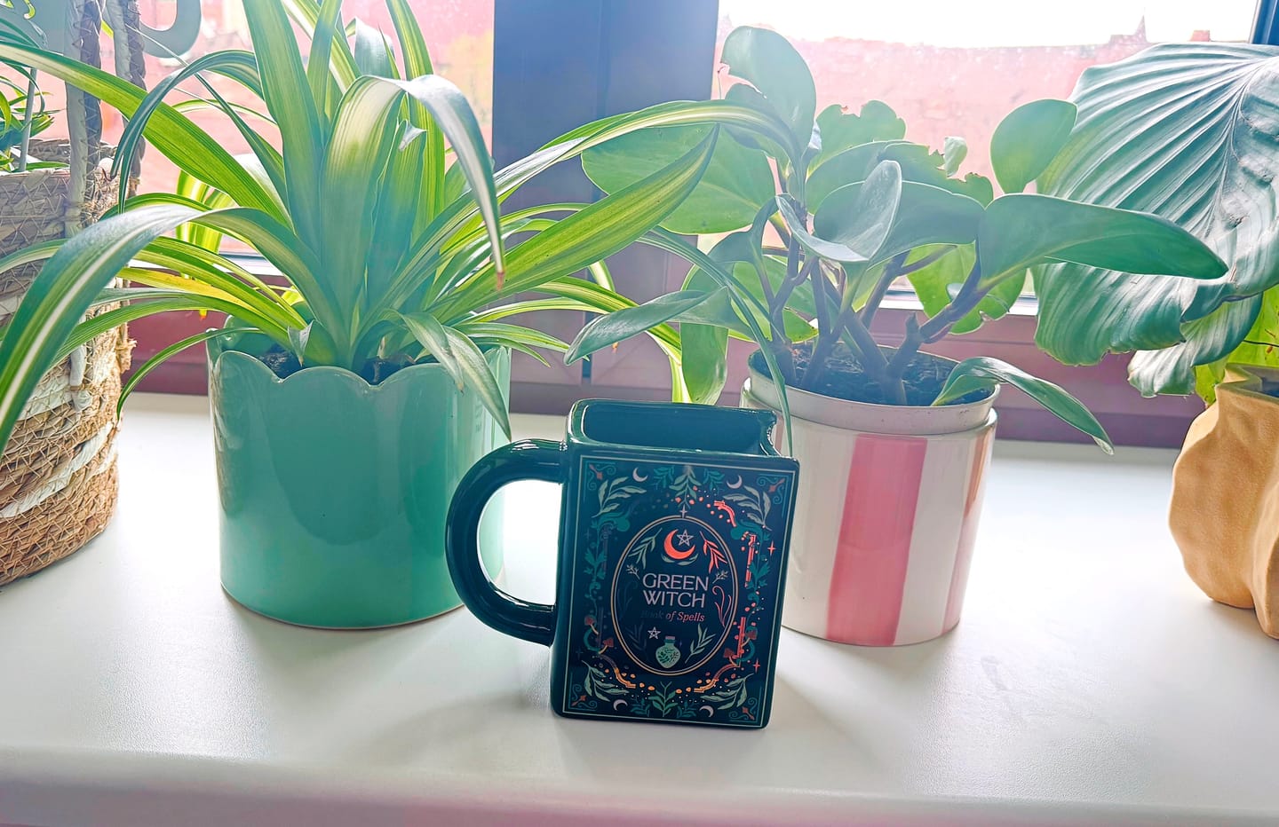 Customer photo review of Buchförmige Tasse „Green Witch“ – Keramiktasse für Natur- und Bücherliebhaber