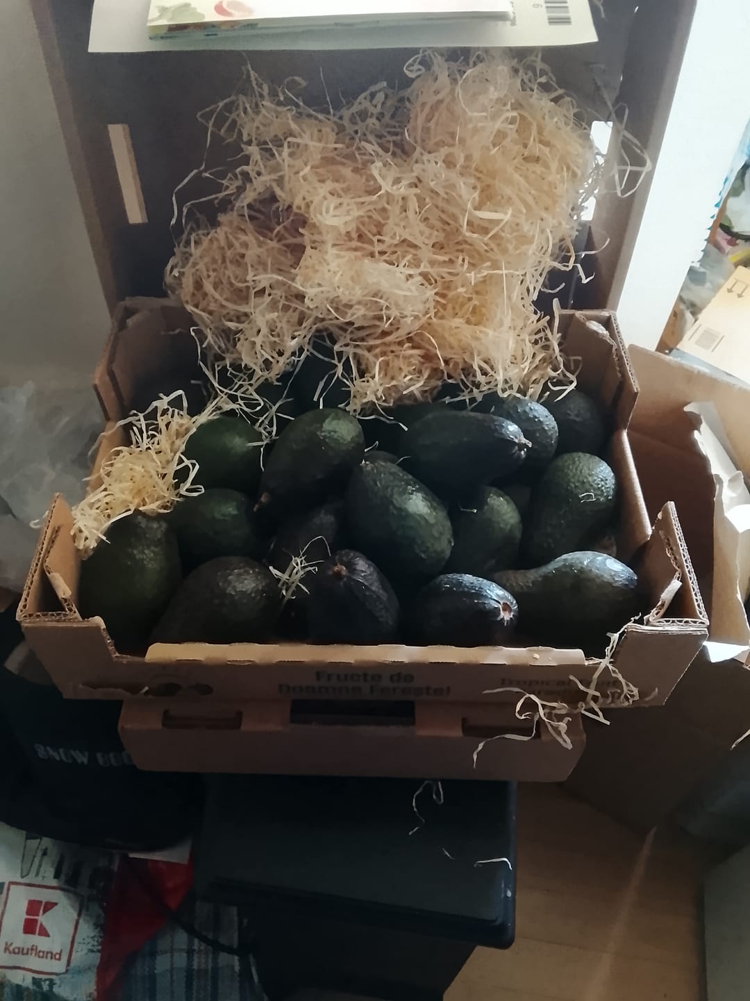 Customer photo review of Avocado "Lamb Hass" 13 Monate baumgereift von Julian