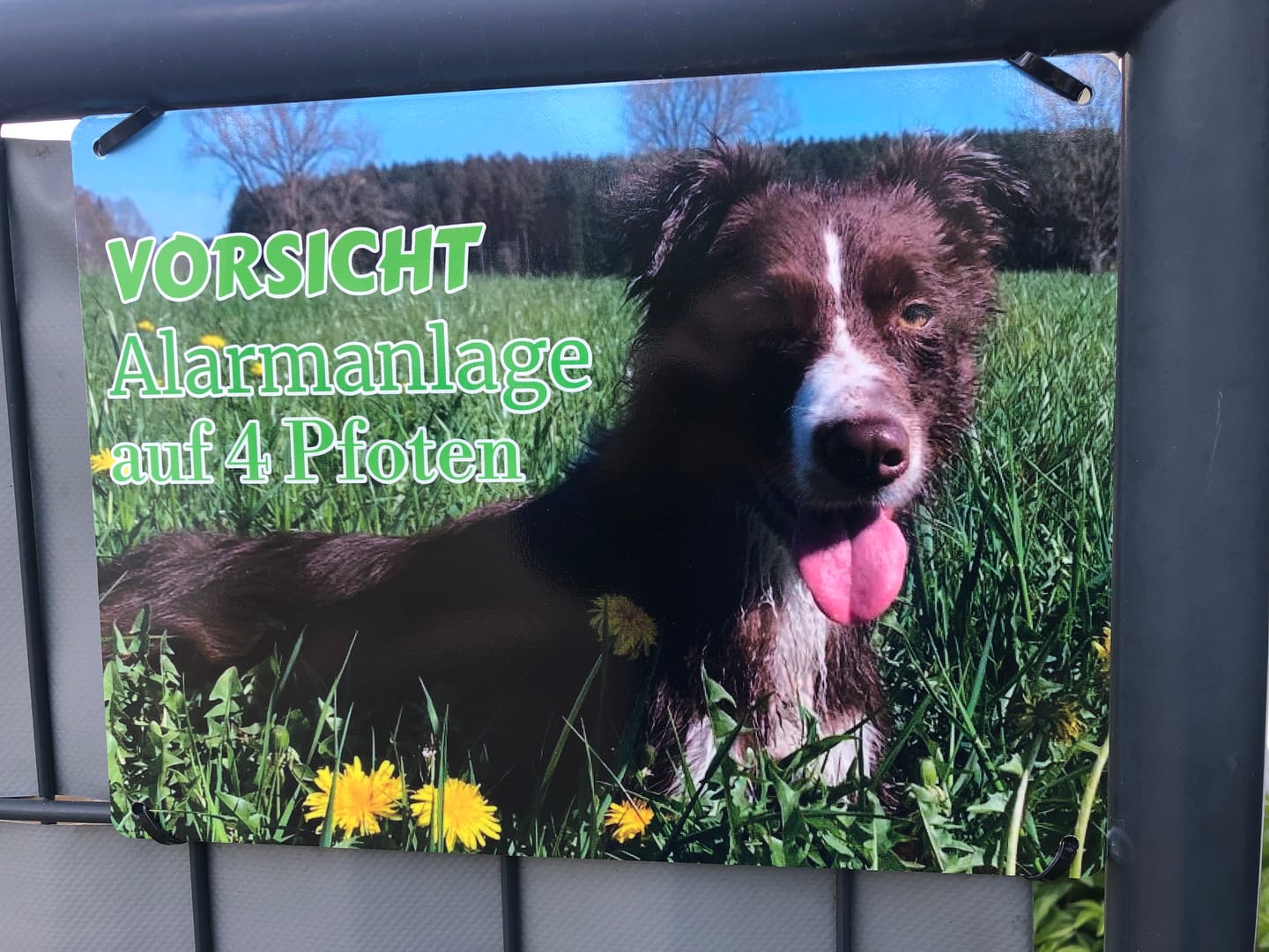 Customer photo review of Hunde-Türschild personalisiert mit Foto & Text (UV- und wetterfest)