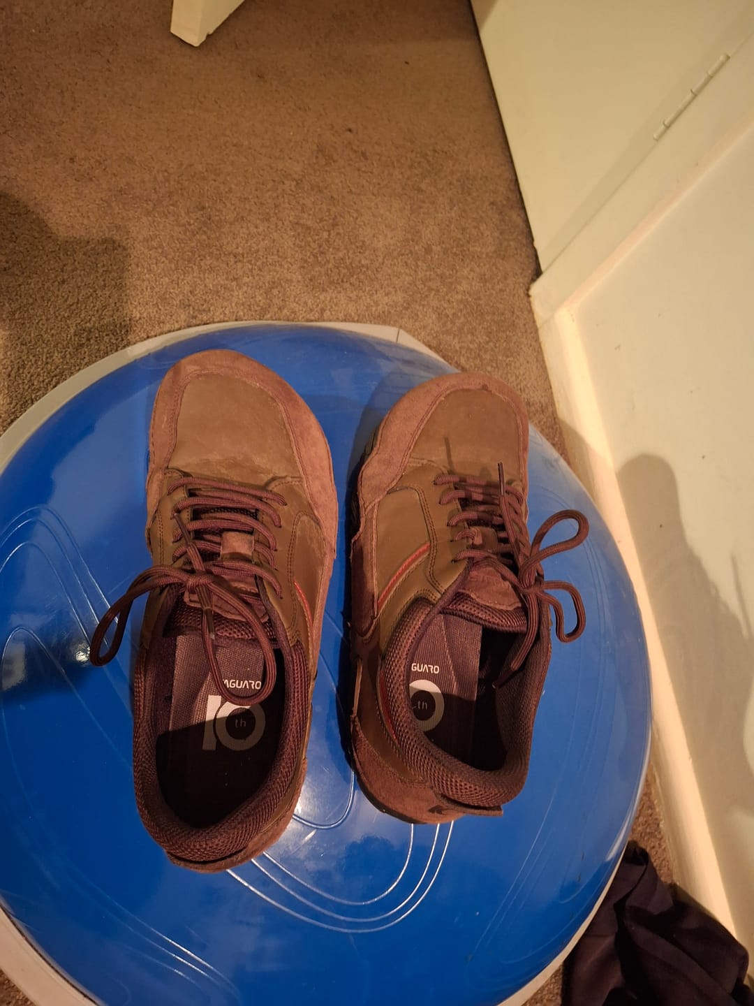 Customer photo review of Terra I  - 10th Anniversary Edition