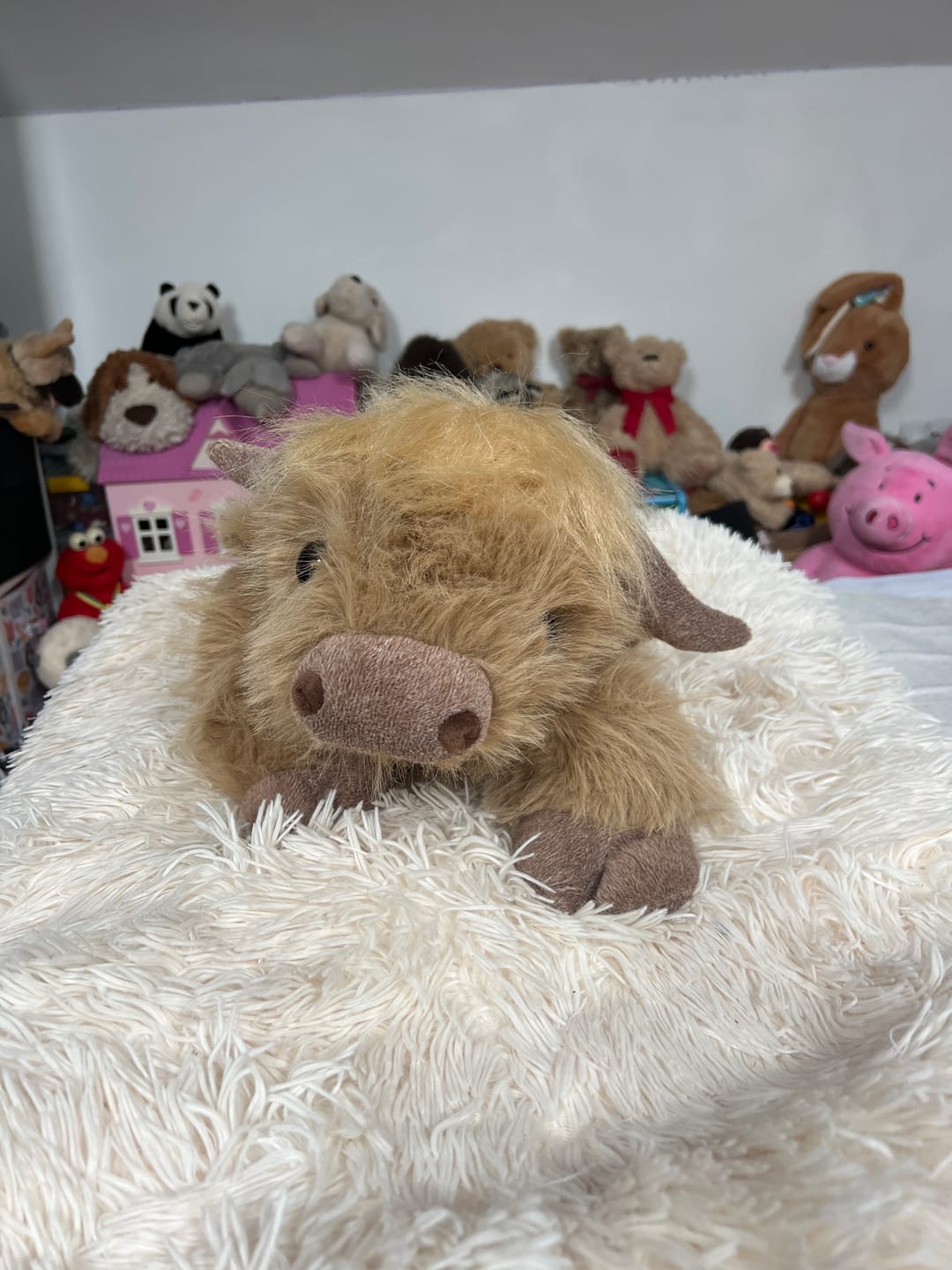 Customer photo review of Highland Cow Weighted Heated Plush