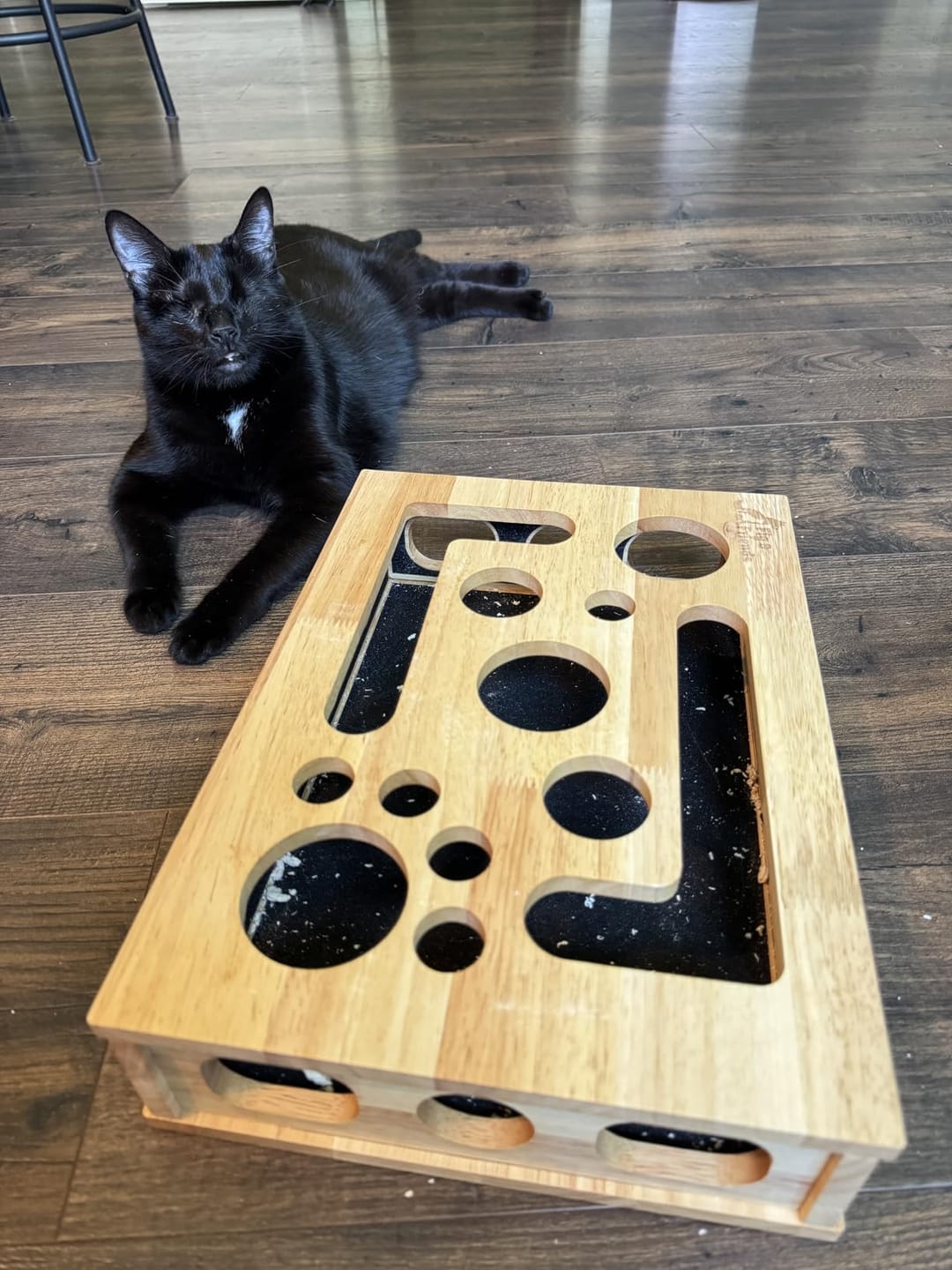Customer photo review of ClawEase™ Cat Nail Filing Box