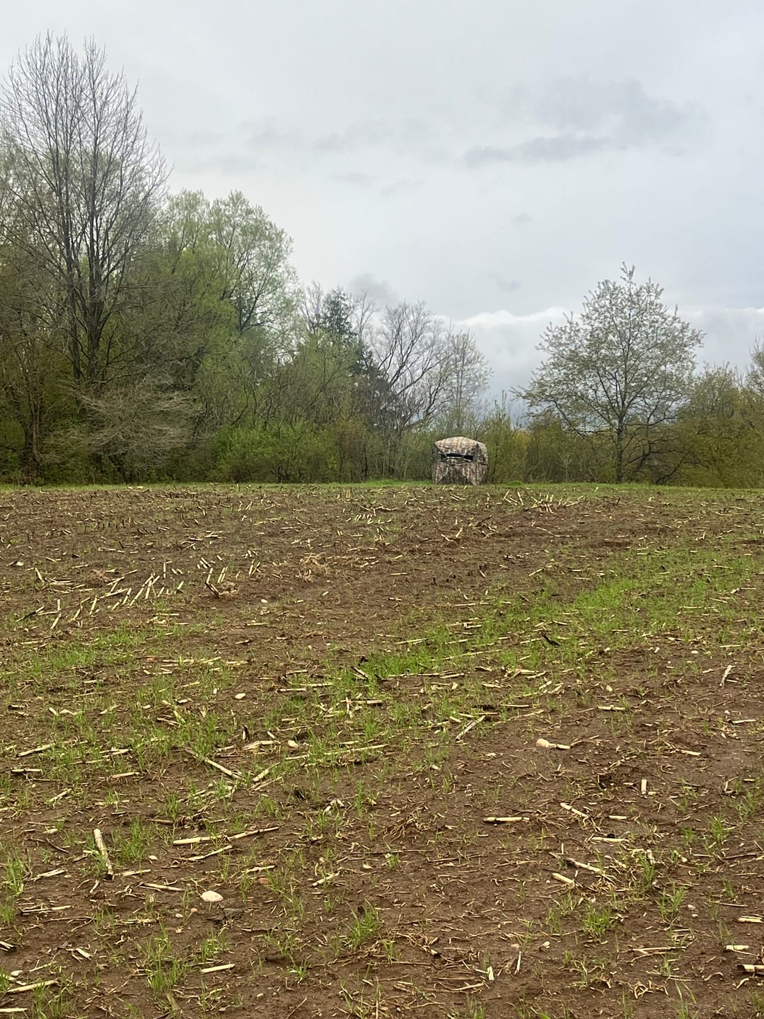 Customer photo review of FLASH SALE VisX/VisMax 270 Degree Ground Blind | See-Through Duck Blind & Portable Pop-Up Deer Blind | Camouflage Hunting Blinds & Best Budget Ground Options