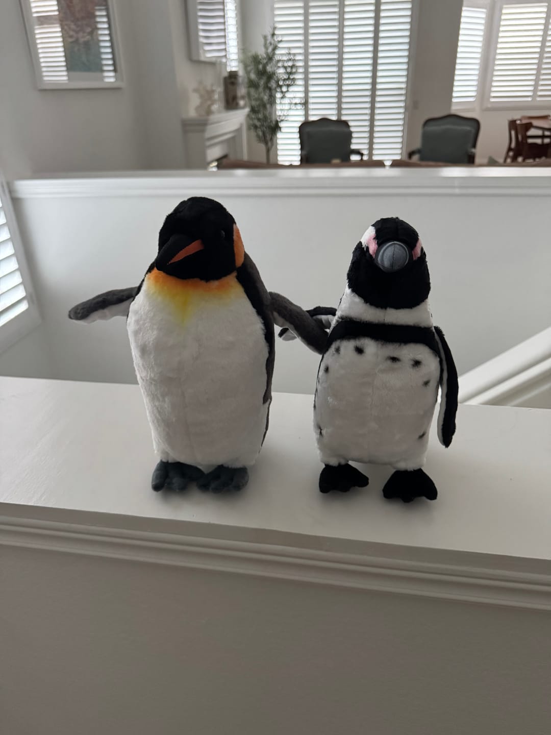 Customer photo review of King Penguin Bird Soft Stuffed Plush Toy
