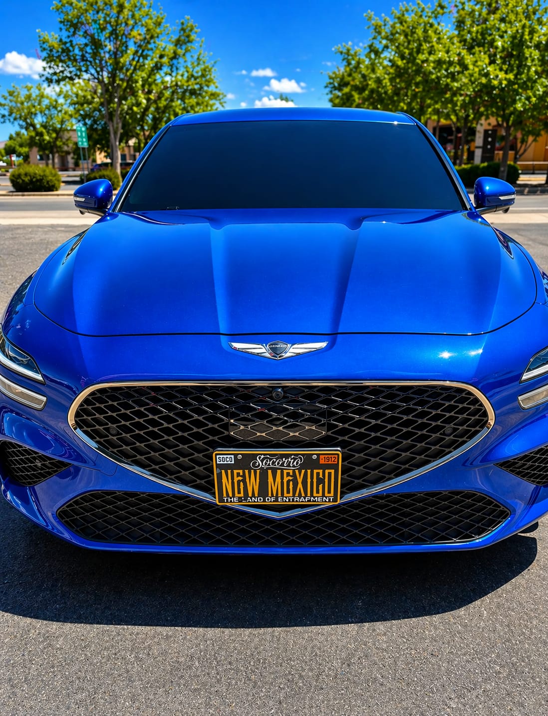Customer photo review of M.A.C Multi- Application Ceramic Sealant