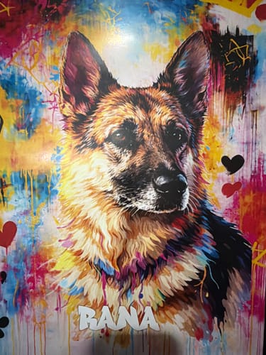 Customer photo review of Personalised Poster With Dog or Cat - Graffiti