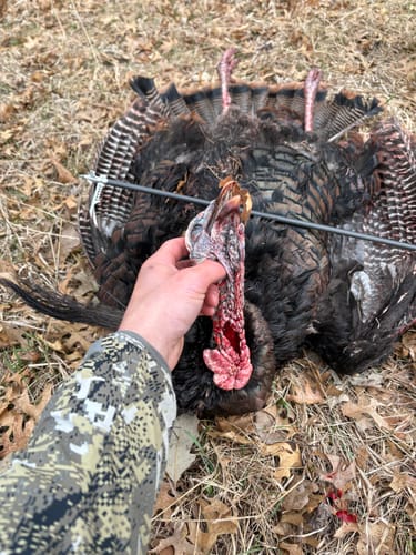 Customer photo review of Turkey Decapper System