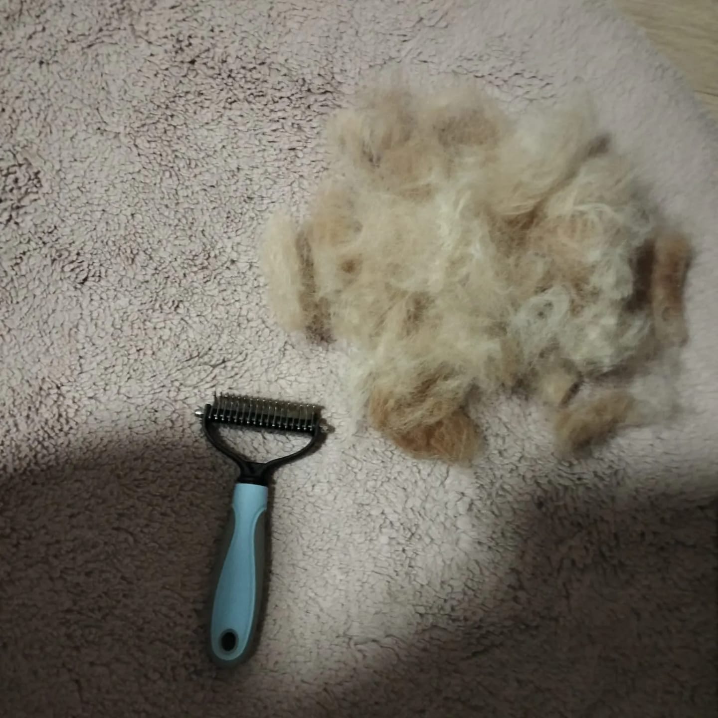 Customer photo review of FurFlow Dog Deshedding Undercoat Rake Brush | Ultimate Dog Grooming Tool