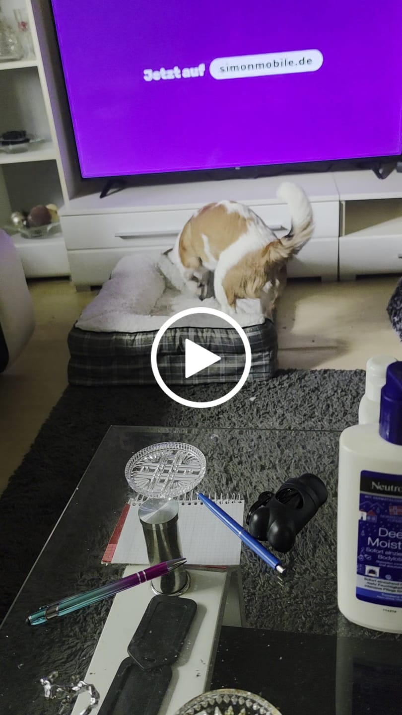 Customer video review of Wurmtest Basic Hund