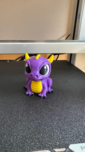 Customer photo review of Anycubic Kobra X