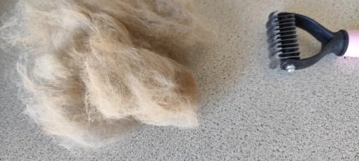 Customer photo review of FurFlow Dog Deshedding Undercoat Rake Brush | Ultimate Dog Grooming Tool