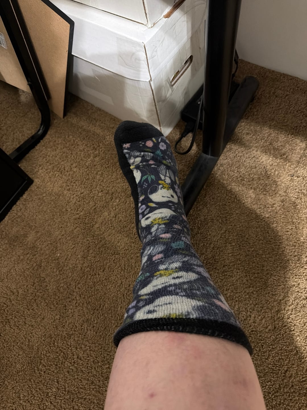 Customer photo review of Purple Moon EasyStretch™ Socks