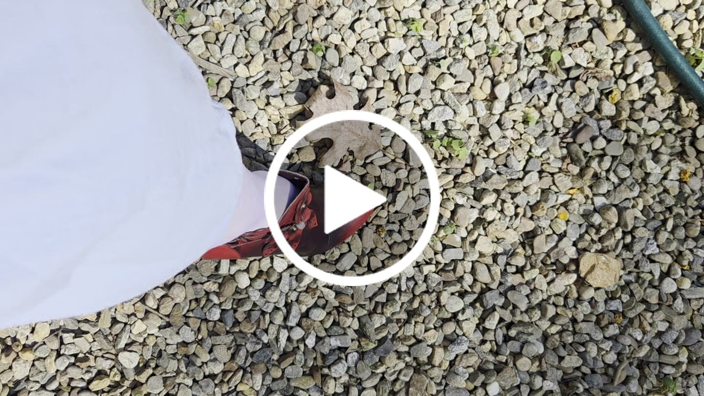 Customer video review of Blooming Elegance Floral Ankle Boots