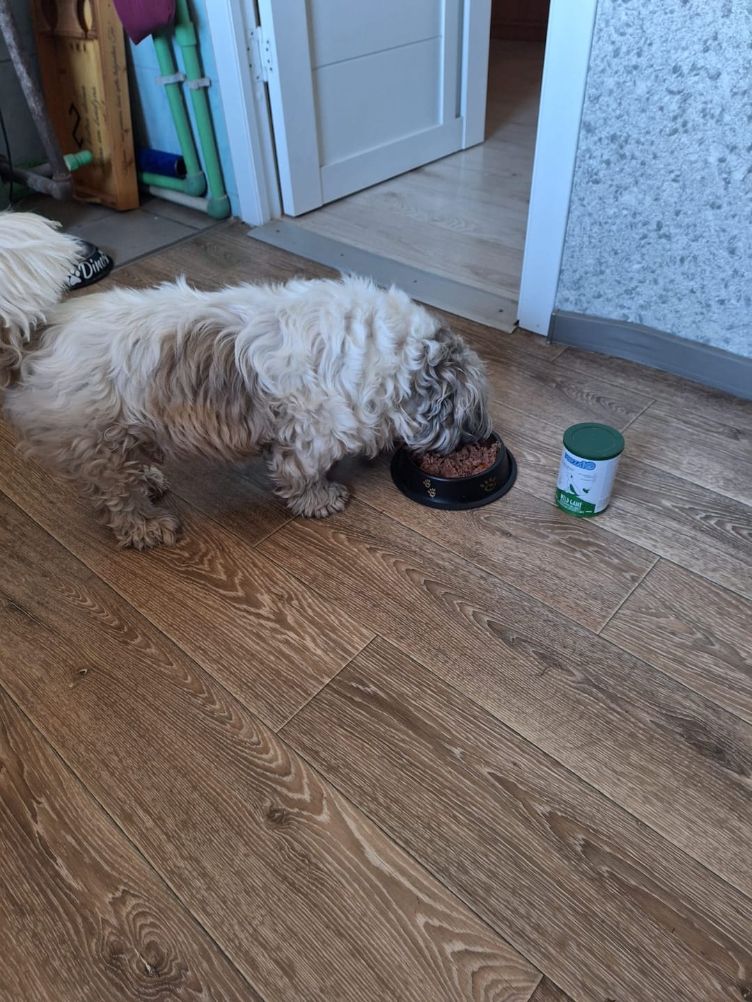 Customer photo review of Konservi suņiem ar LASI un rīsiem