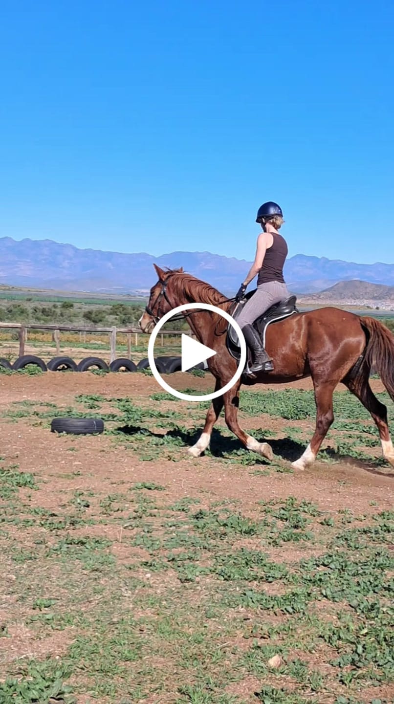 Customer video review of Equimin Trophy (Supplement For Horses & Game)