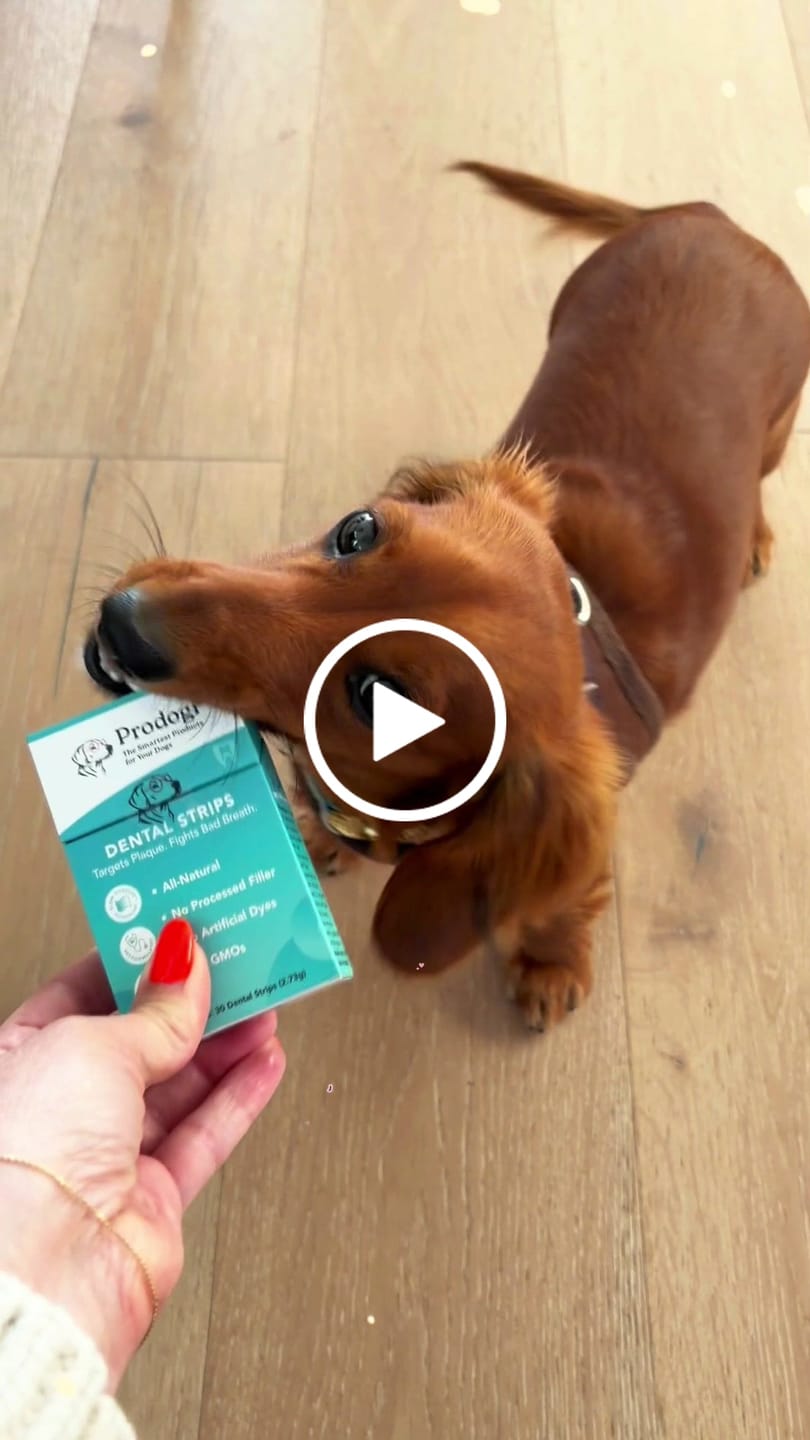 Customer video review of DENTAL STRIPS