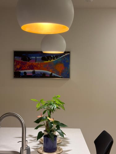 Customer photo review of The Inverted Bird