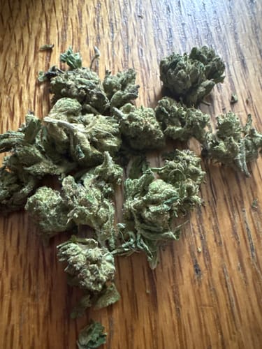 Jet Fuel Gelato - Minis - 28 Grams - Indica photo review