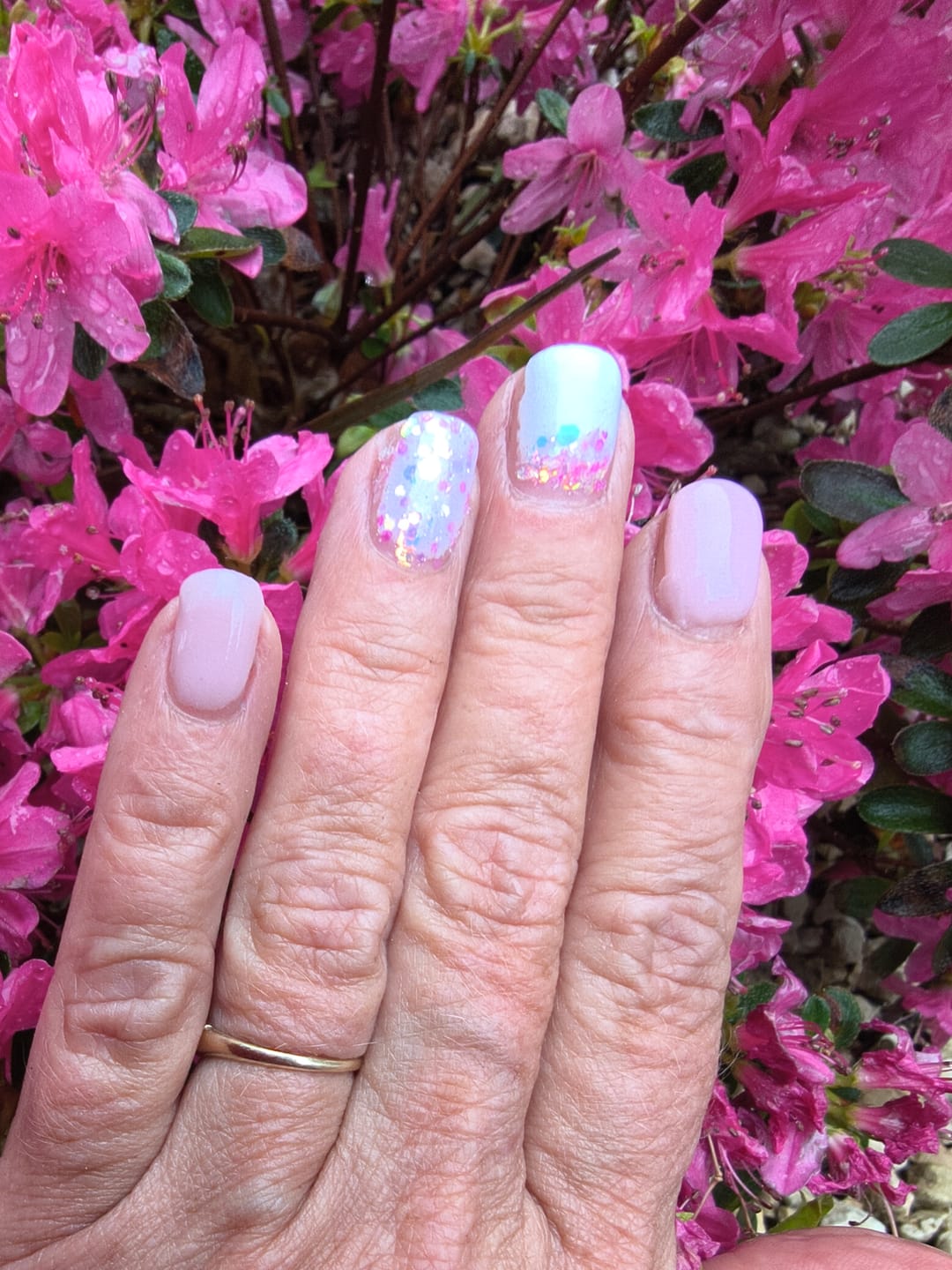 Customer photo review of Marshmallow Dipping Powder