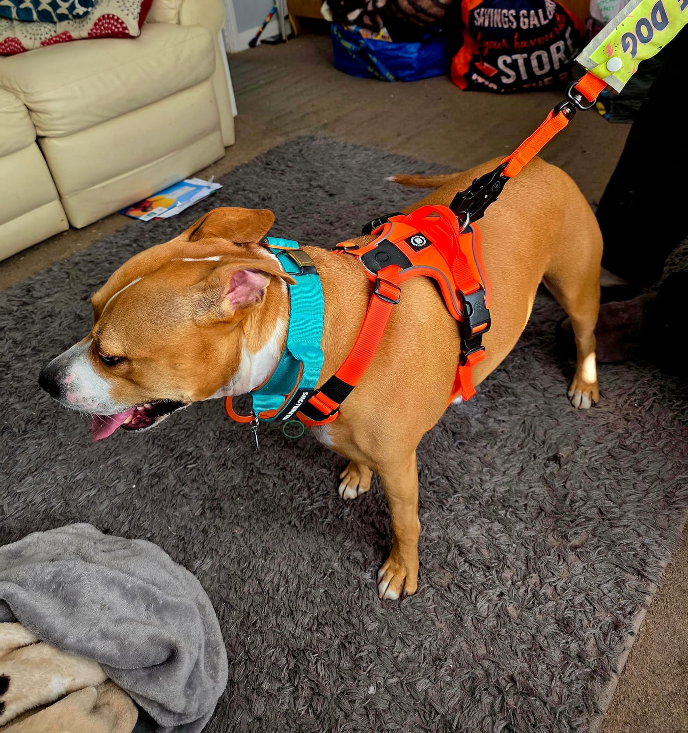 Customer photo review of Anti Pull Hurricane Harness Lighter | With Handle - Orange