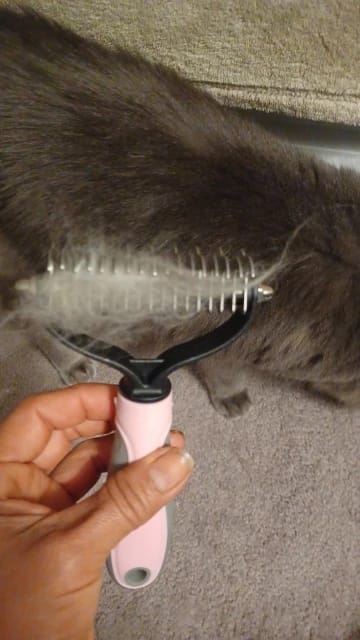 Customer photo review of FurFlow Dog Deshedding Undercoat Rake Brush | Ultimate Dog Grooming Tool