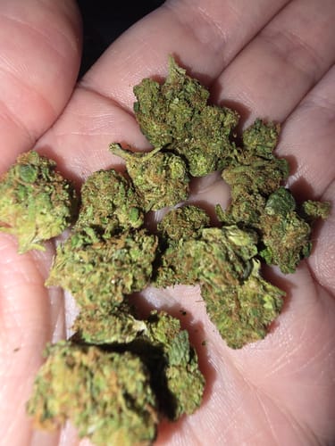 Customer photo review of Maui Wowie - Minis - 28 Grams - Sativa