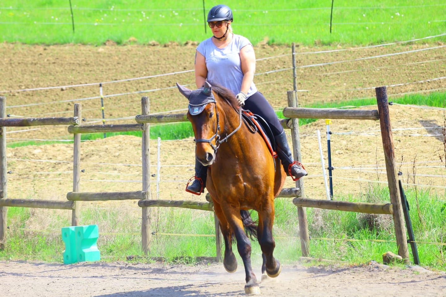 Customer photo review of Reitleggings Gigolo V2