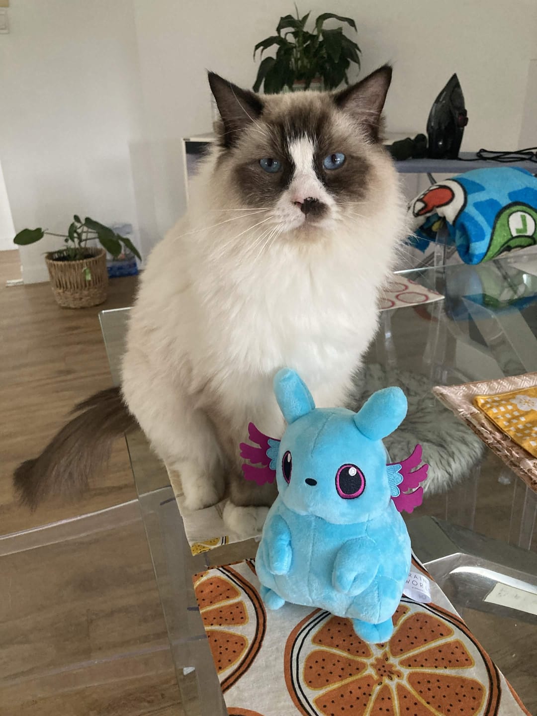 Customer photo review of Rain World - Rivulet Slugpup Plush