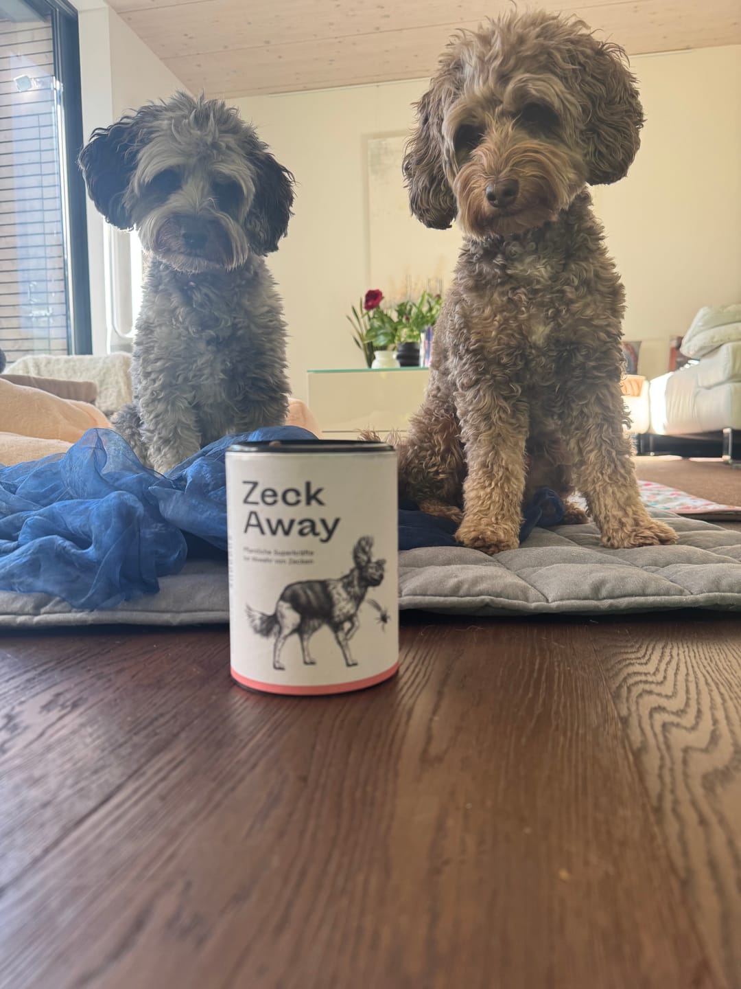 Customer photo review of Snacks für Zähne & Zahnfleisch