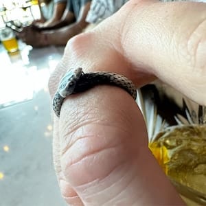Customer photo review of Ouroboros Ring