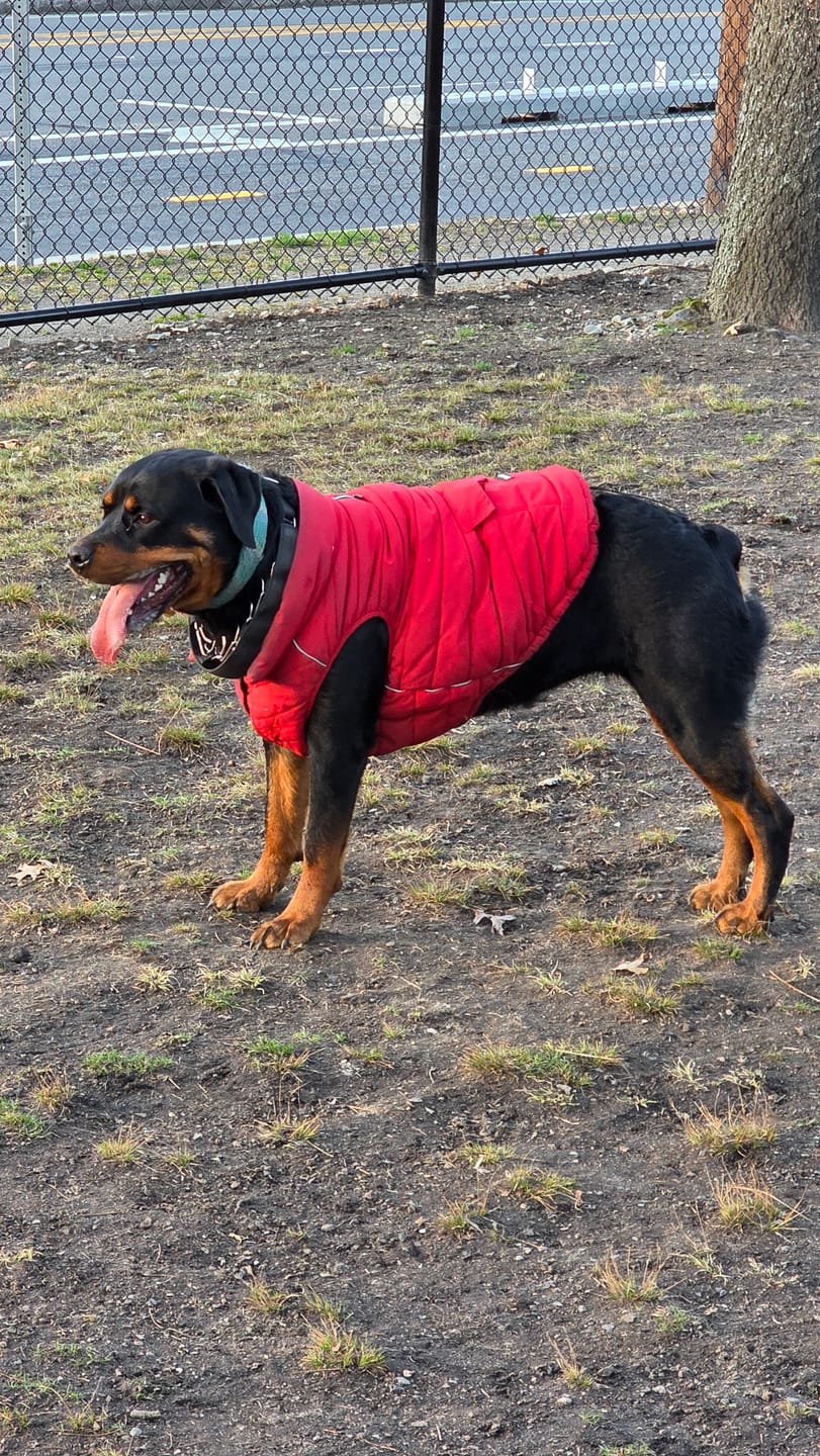 Customer photo review of WarmShield Water-Resistant Jackets