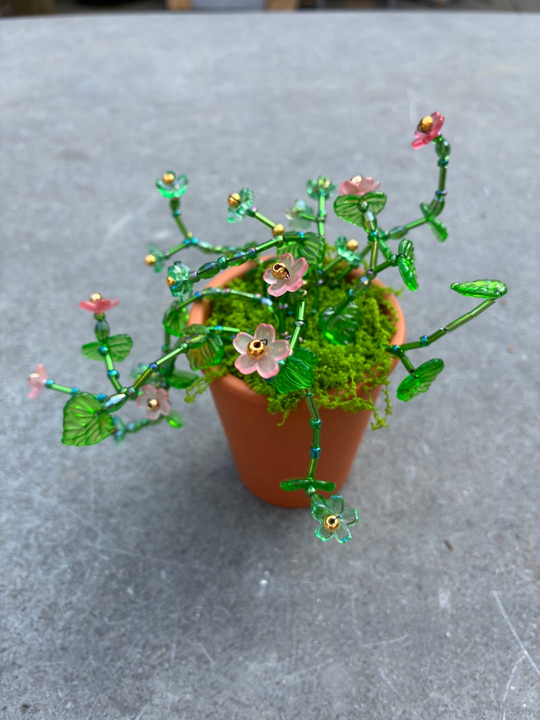 Customer photo review of Workshop: Maak je eigen kralenplantje (meest gekozen)