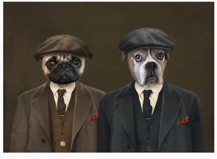 Customer photo review of The Gangster Brothers - Custom Pet Canvas