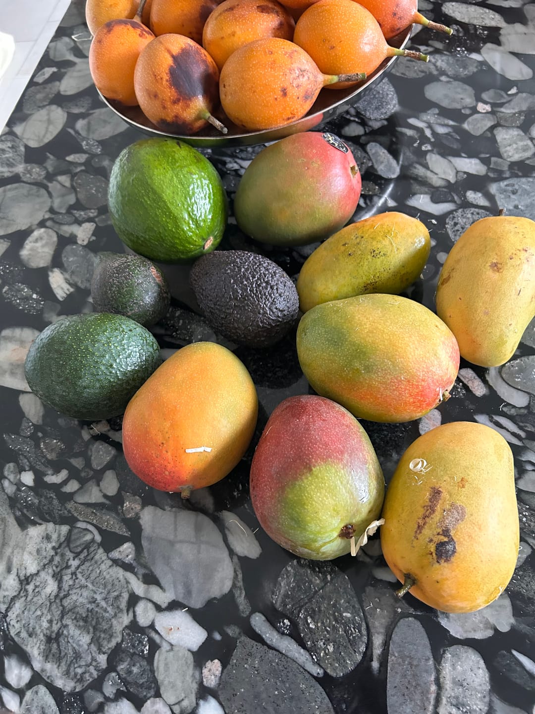 Customer photo review of Avocado-Mix 13 Monate baumgereift Sonderaktion % 2kg Box