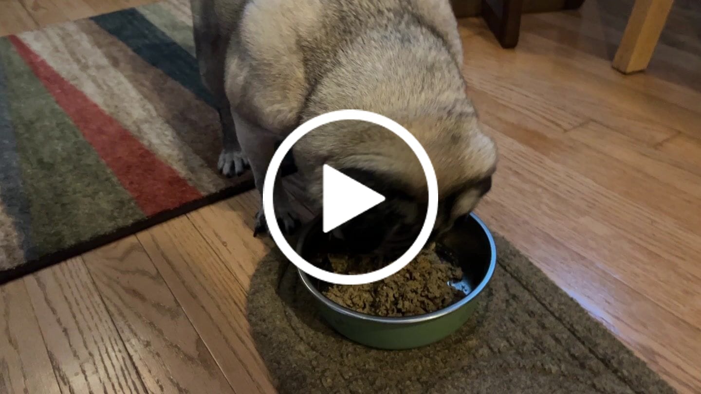 Customer video review of Turkey Recipe