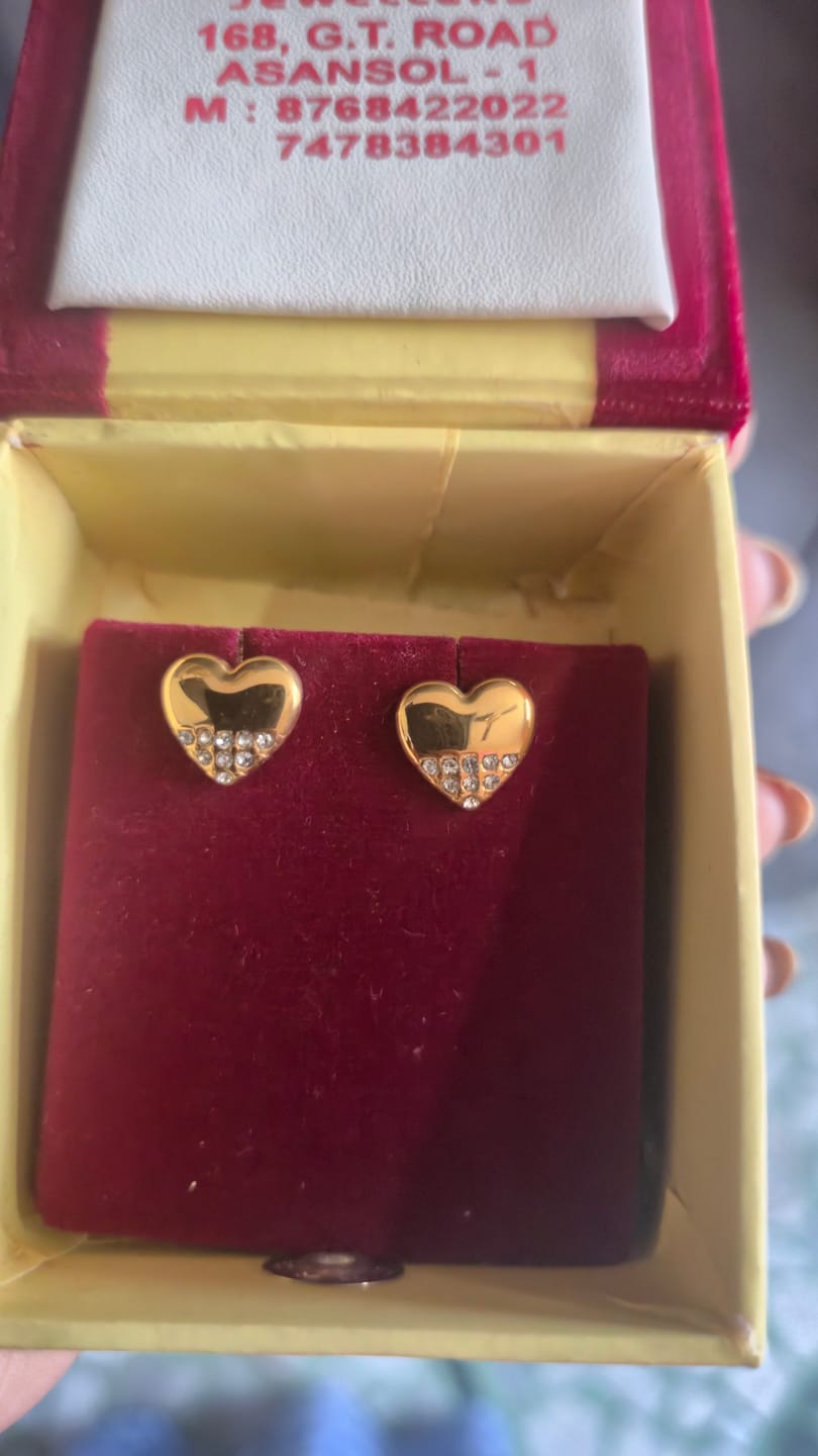 Customer photo review of Stone Studded Heart Earrings