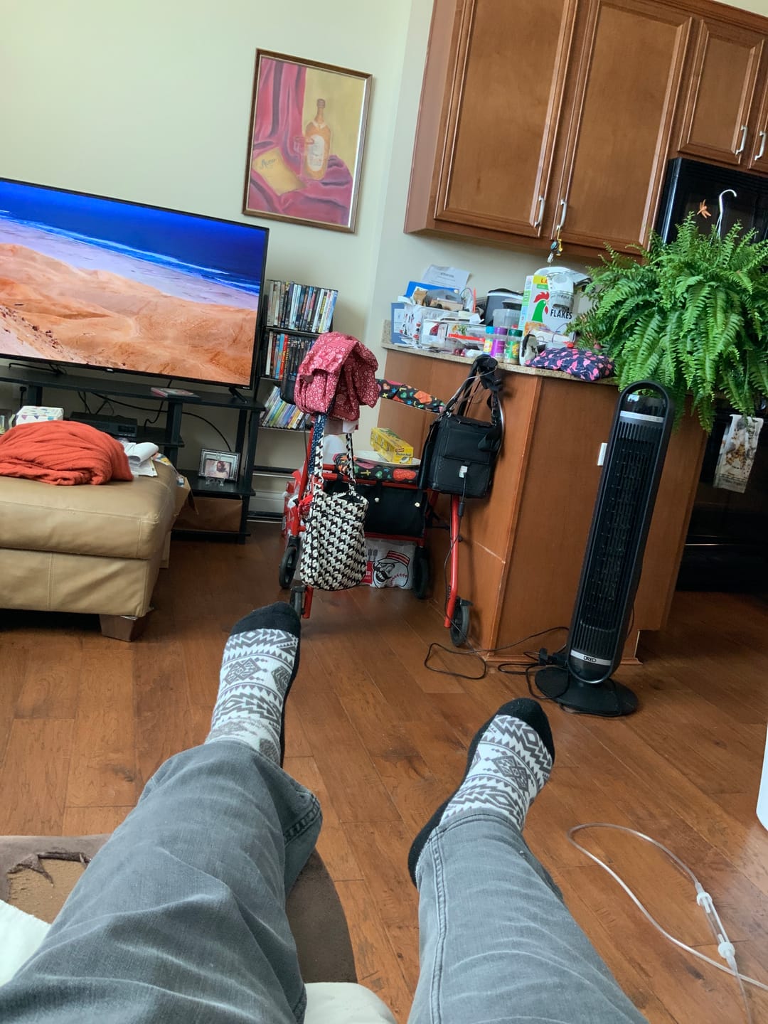 Customer photo review of Wildflower EasyStretch™  Socks