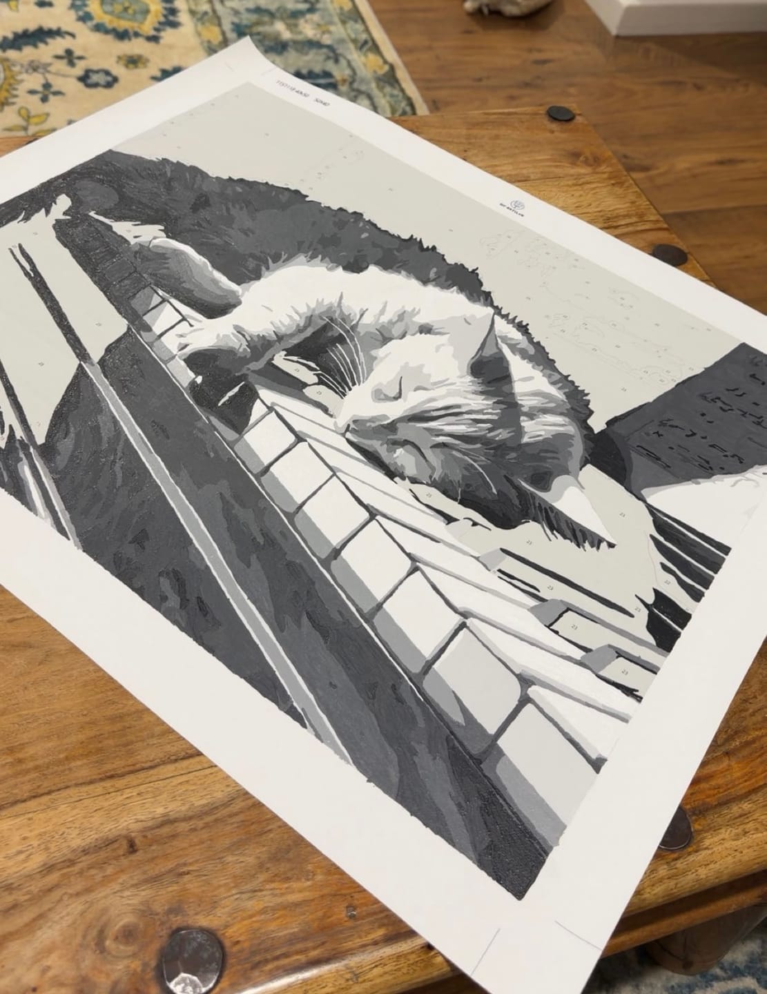 Customer photo review of Cat on the piano | Paint by Number