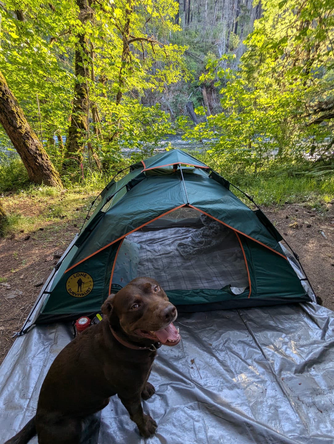 Customer photo review of Survival Mattress Set!