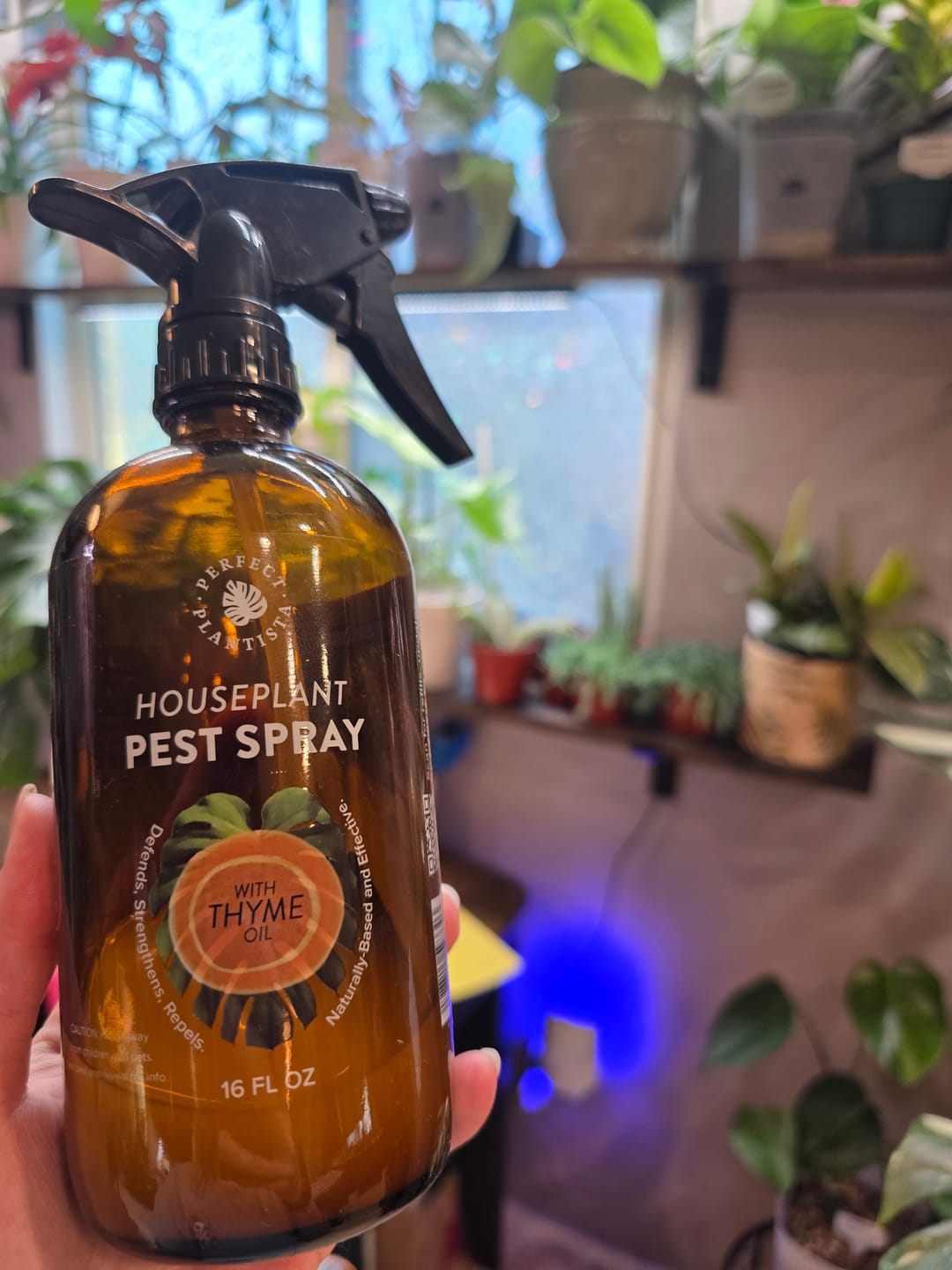 Customer photo review of Houseplant Pest Spray