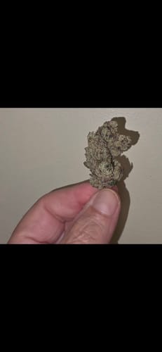 Customer photo review of Columbia Gold Flower Wholesale
