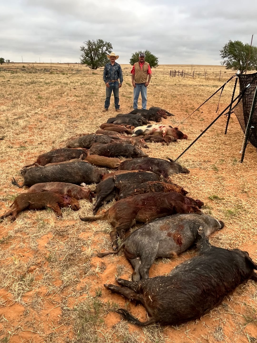 Customer photo review of Pig Brig Pro Trap System