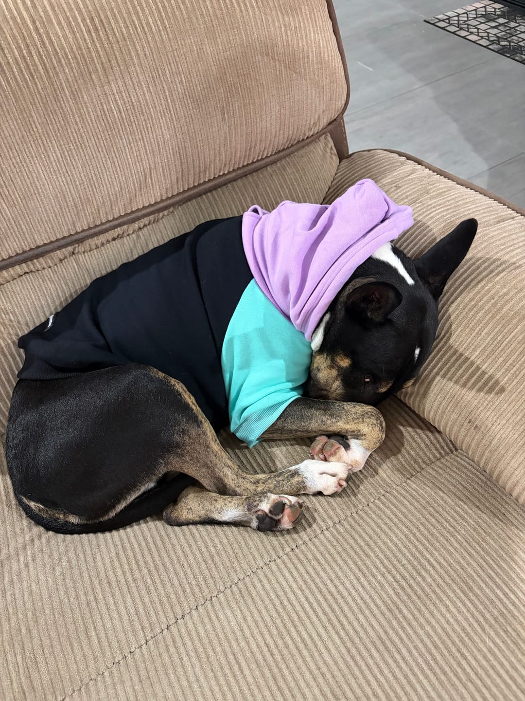 Customer photo review of Cyber Punk Dog Hoodie